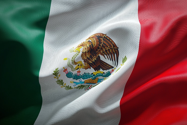 seleccion de mexico y su bandera (1)