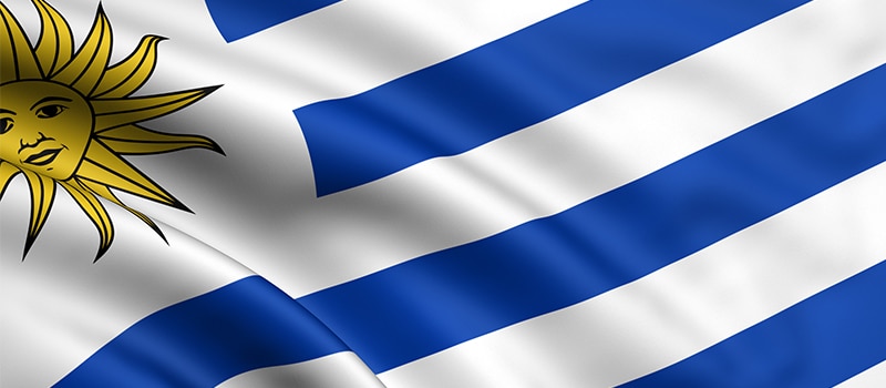 bandera seleccion de uruguay (1)