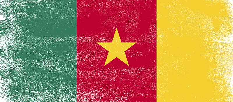 seleccion de camerun y la bandera