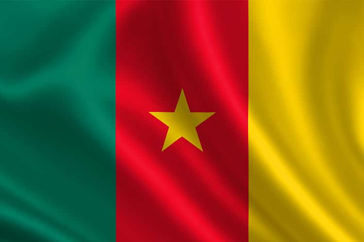 seleccion de camerun y su bandera (1)